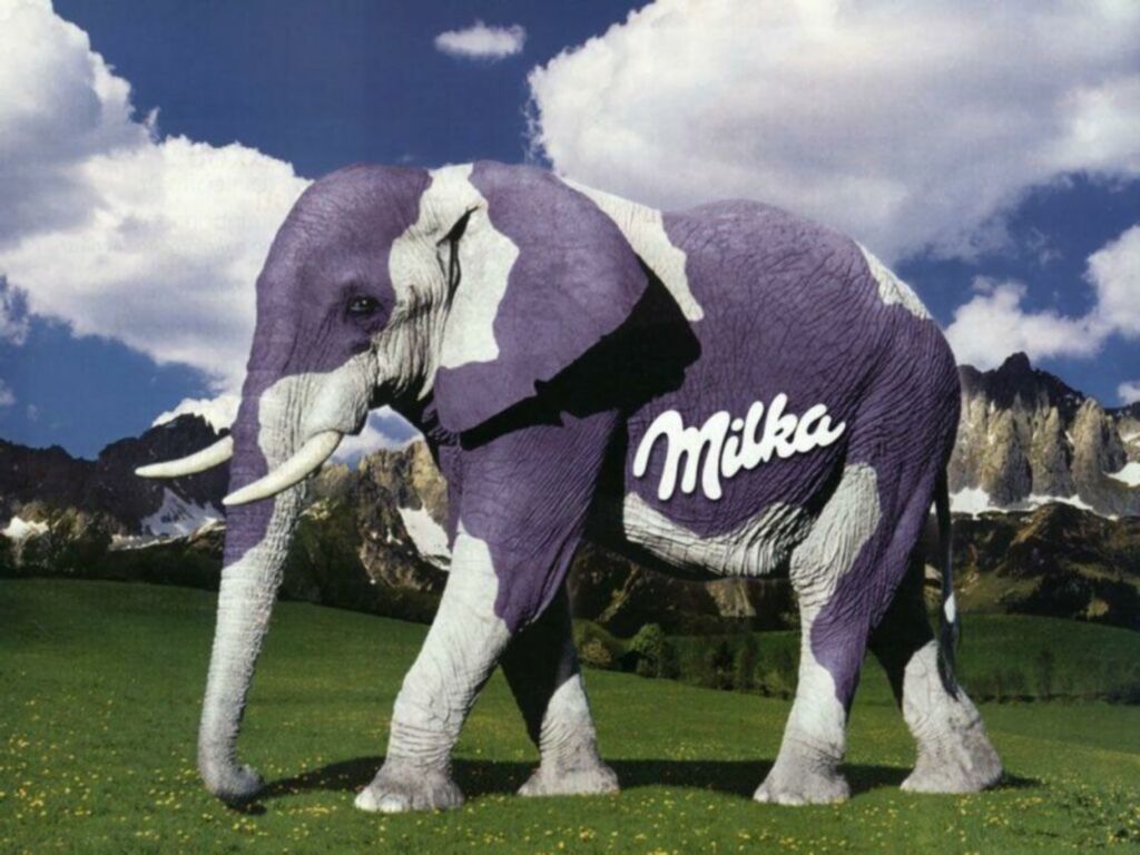 464365.jpg